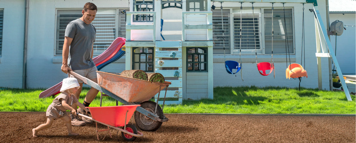 Common Spring Lawn Problems in Sydney and How to Fix Them