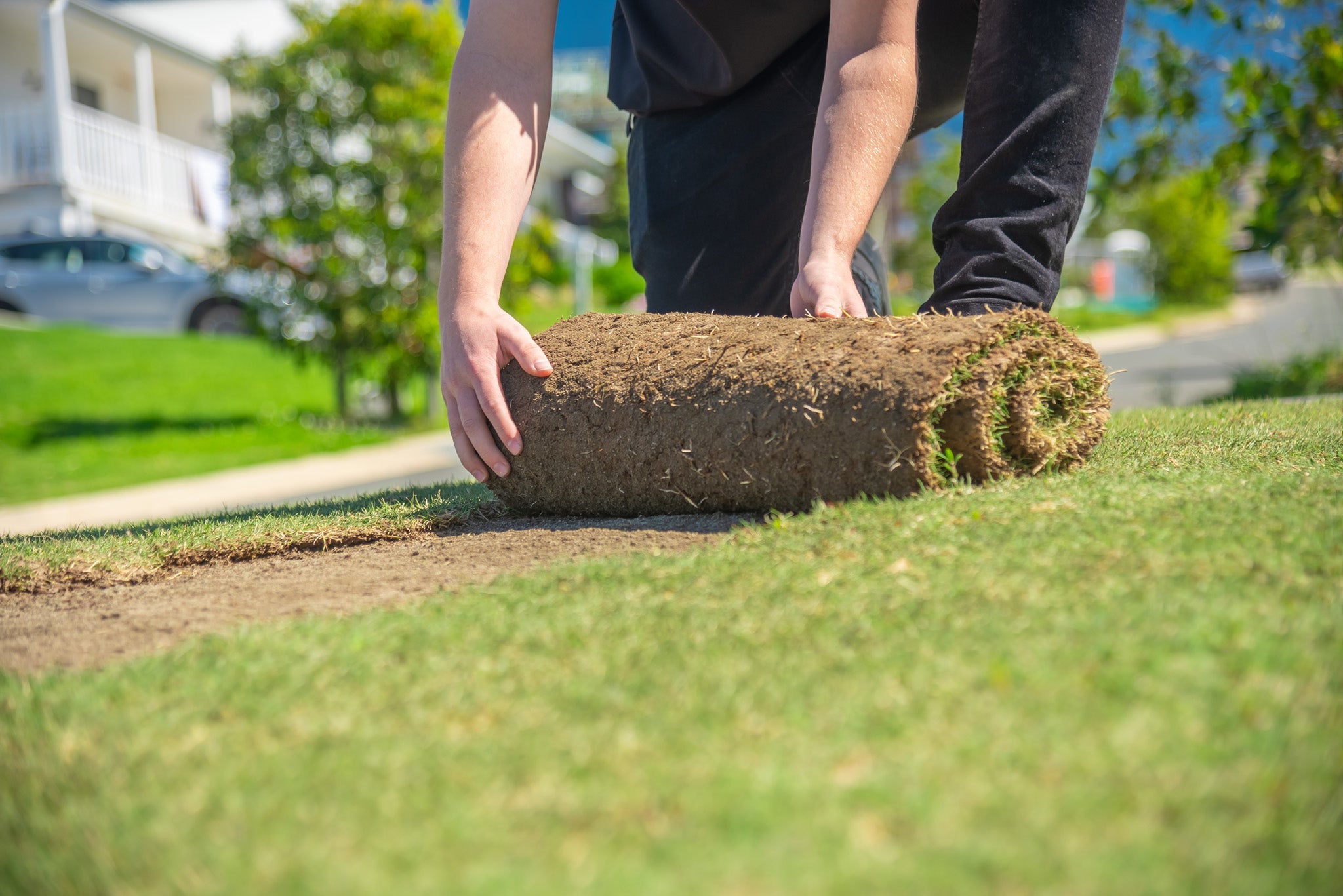 Can You Lay New Turf in Winter in Sydney?