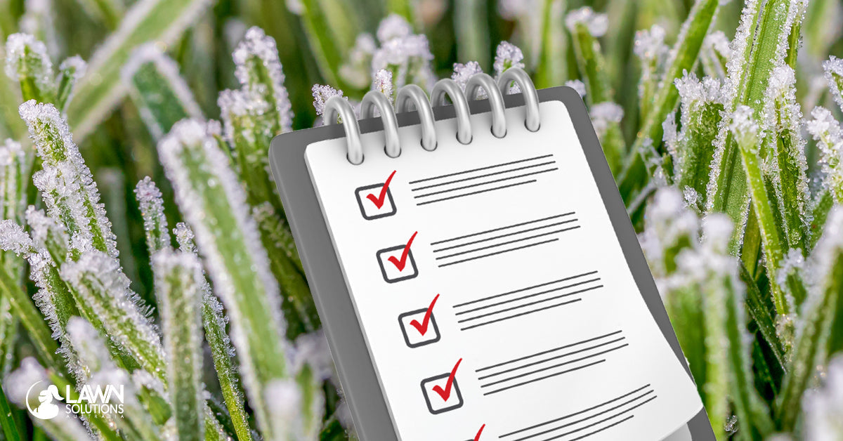 The Complete Guide to Winter Lawn Care in Sydney