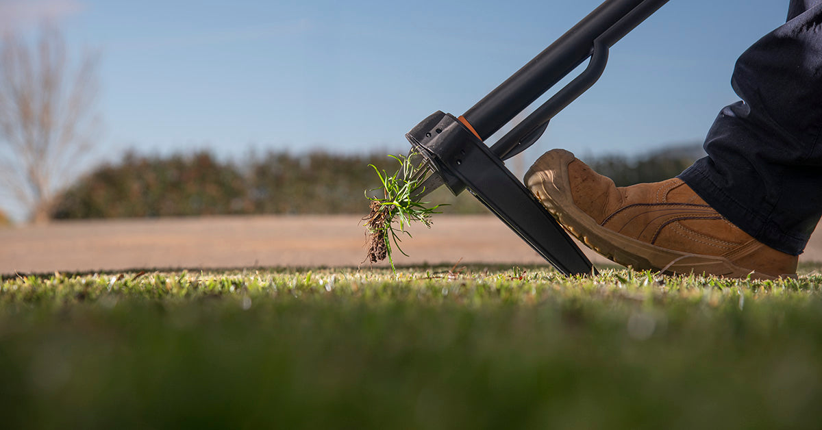 Summer Weeds Taking Over? How to Get Them Under Control Before Autumn