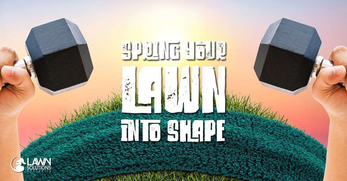 Spring Lawn Care Sydney: How to Bring Your Lawn Back to Life After Winter