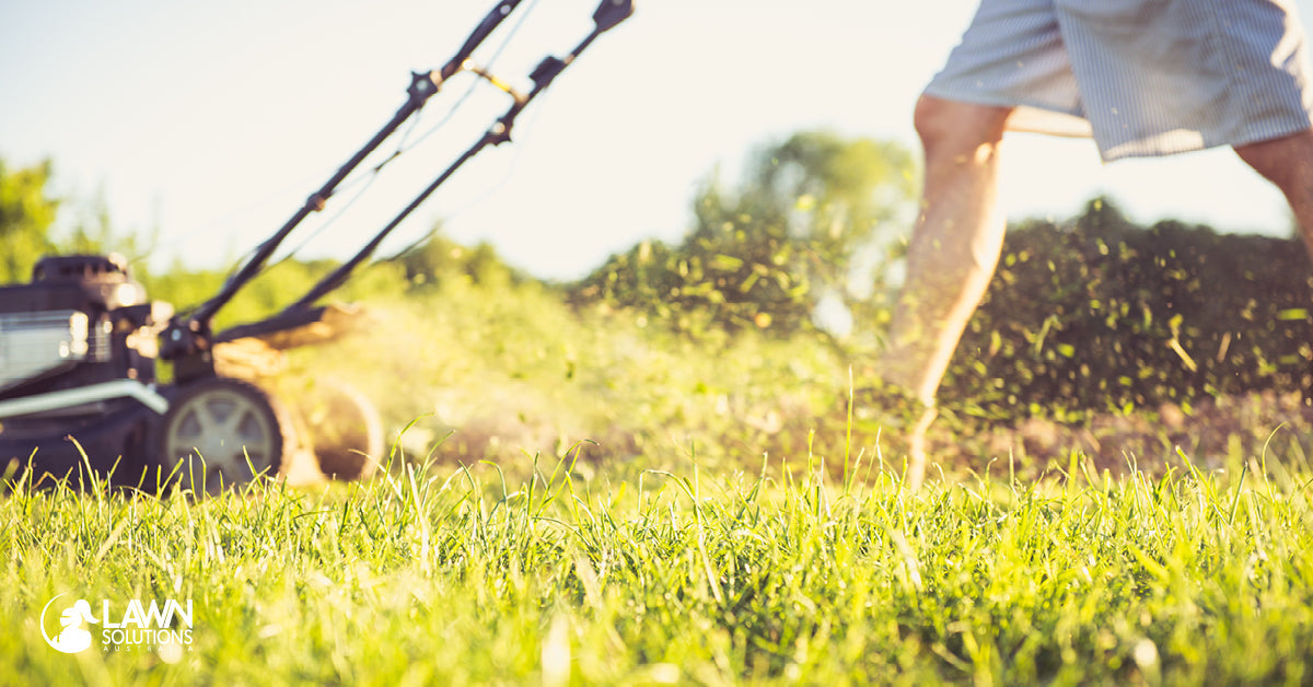 Lawn Mowing Tips for Sydney