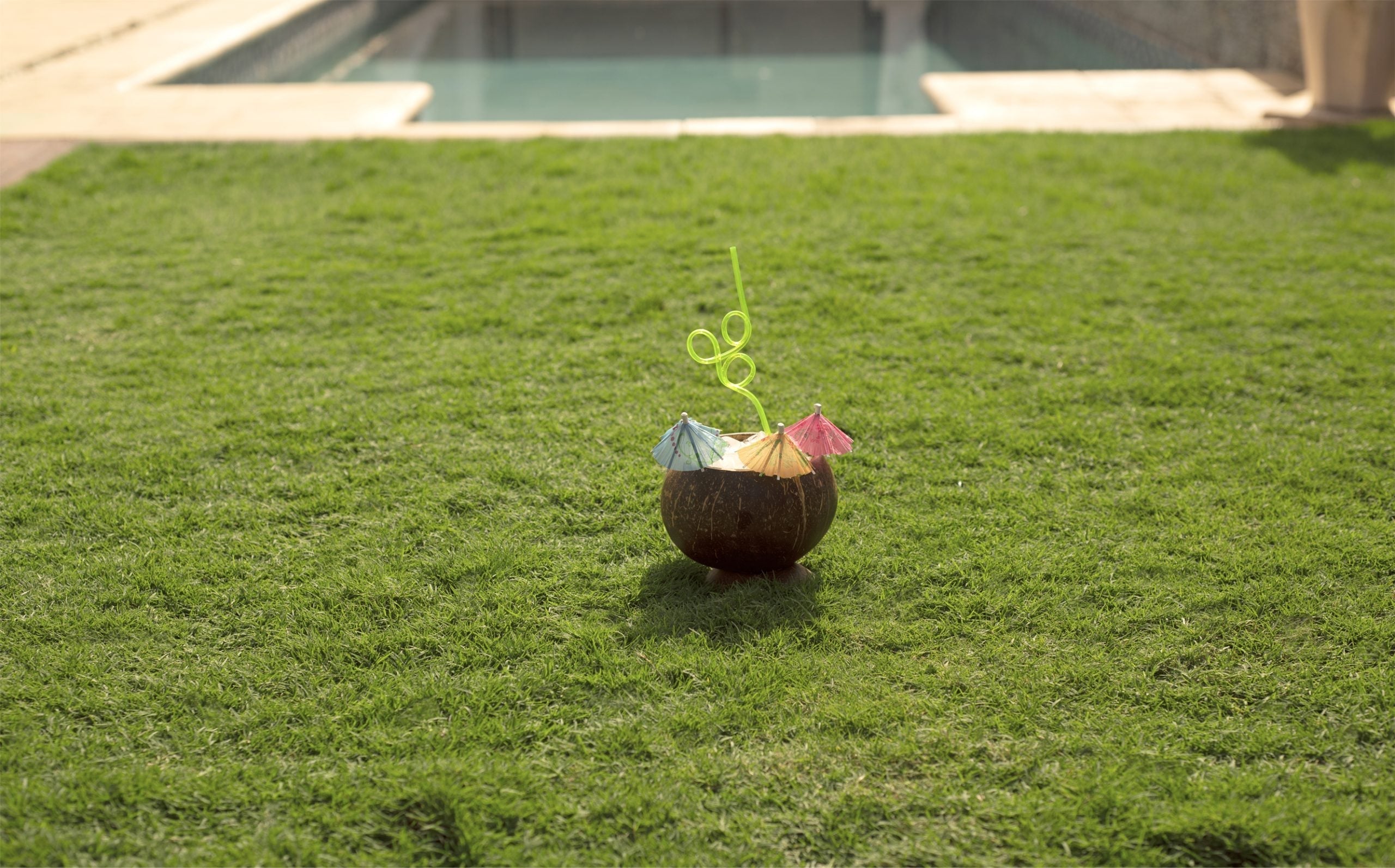 Holiday Lawn Care Tips – How to Keep Your Grass Green While You’re Away