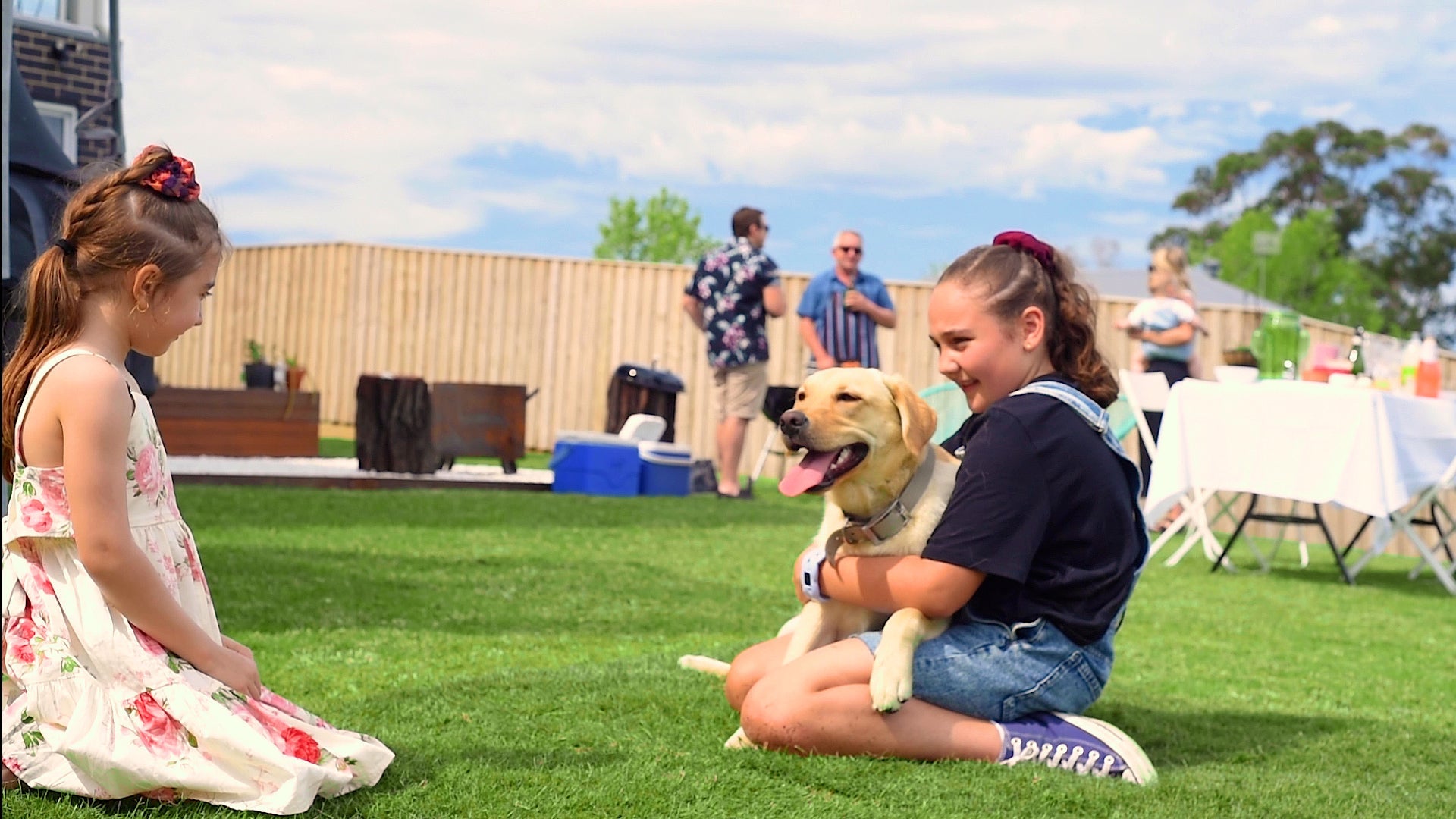 Paws, Play and Perfect Lawns: Keeping Your Turf Pet-Friendly