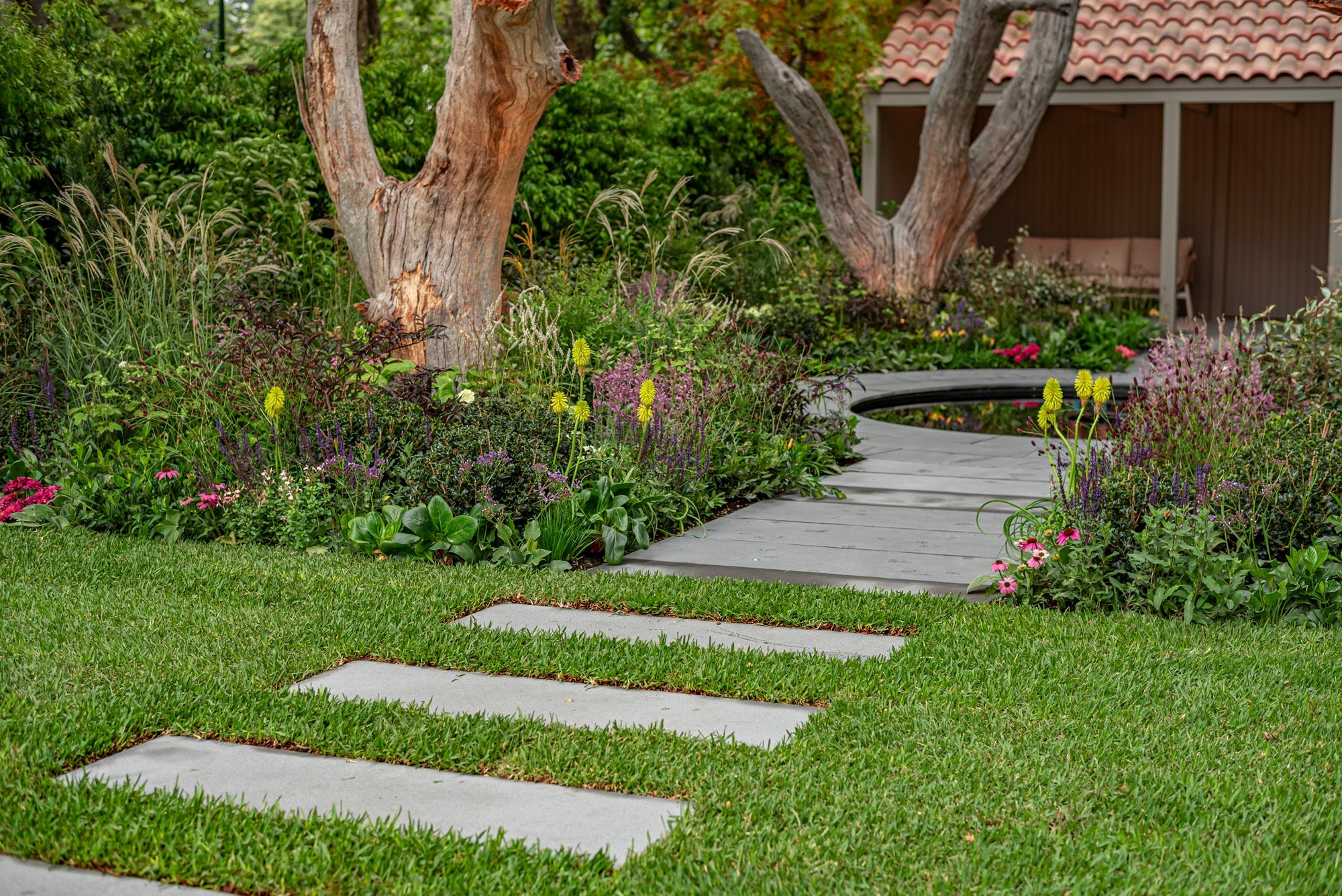 What Is the Best Lawn Grass for Small Spaces in Sydney?