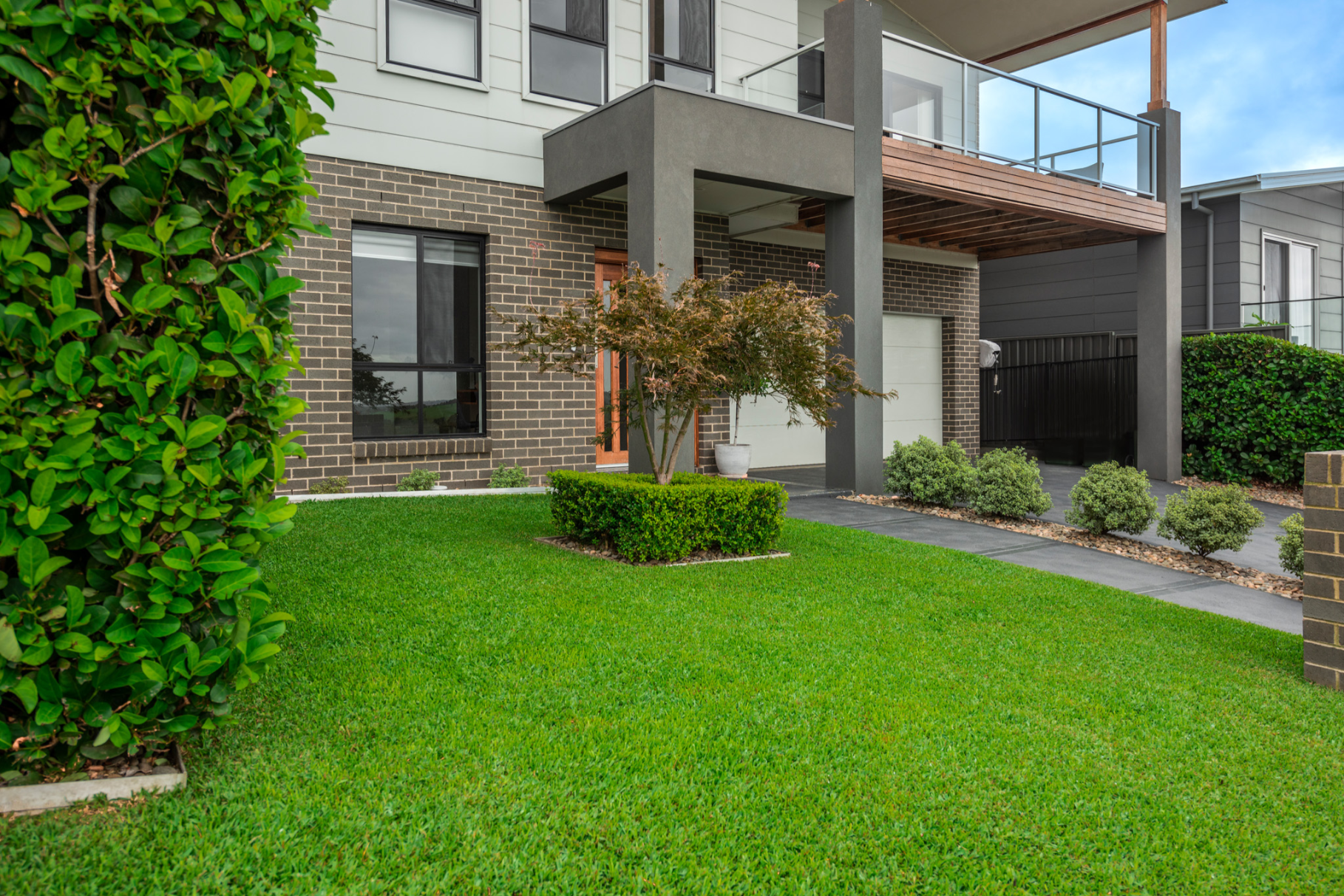 Sir Walter Buffalo: Why It’s Still Australia’s Best Buffalo Lawn