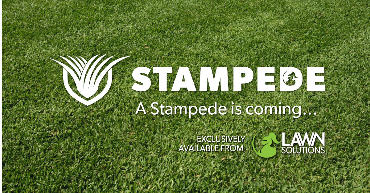A Stampede is Coming…