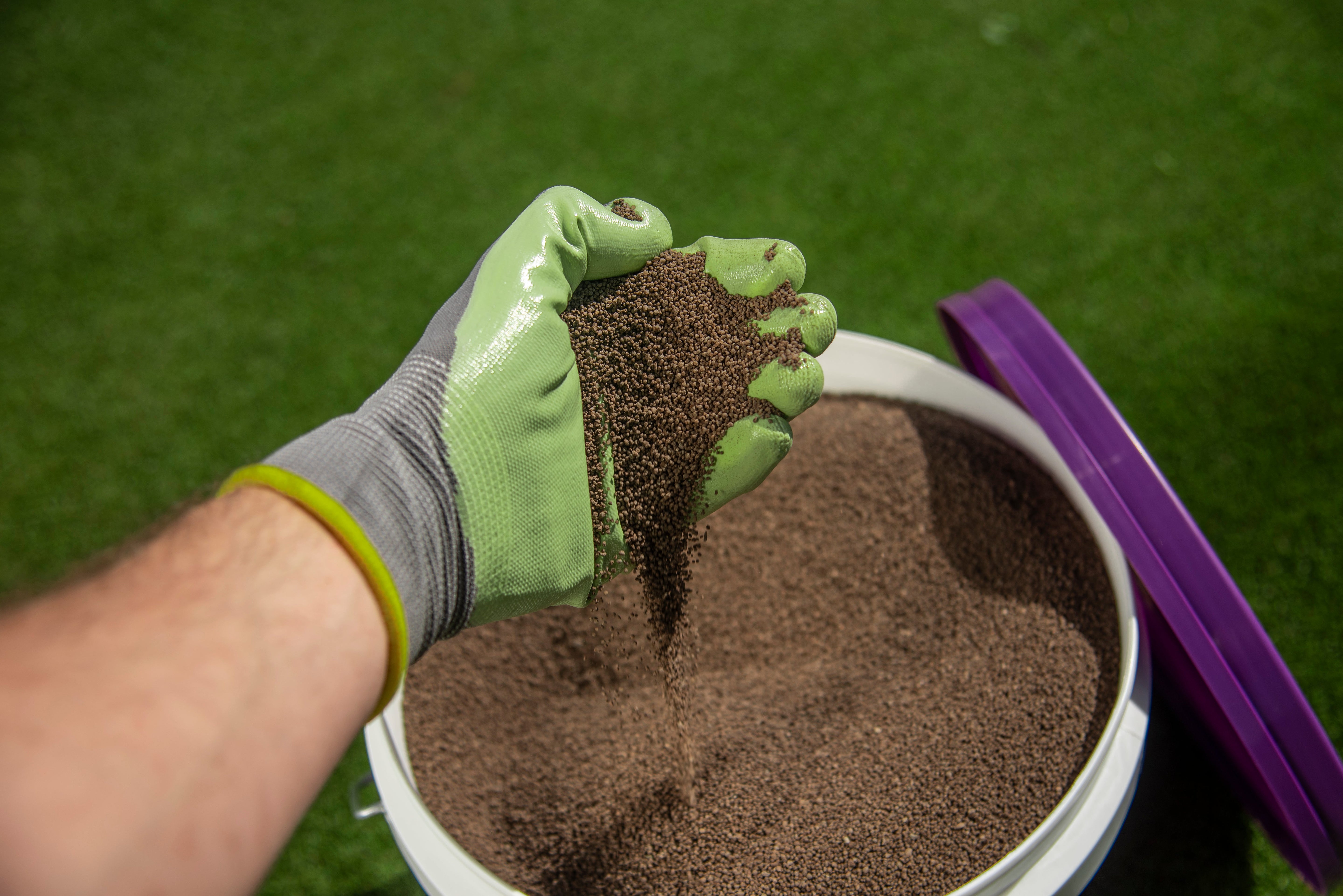 Autumn Fertilising: What Your Lawn Actually Needs (and What It Doesn’t)