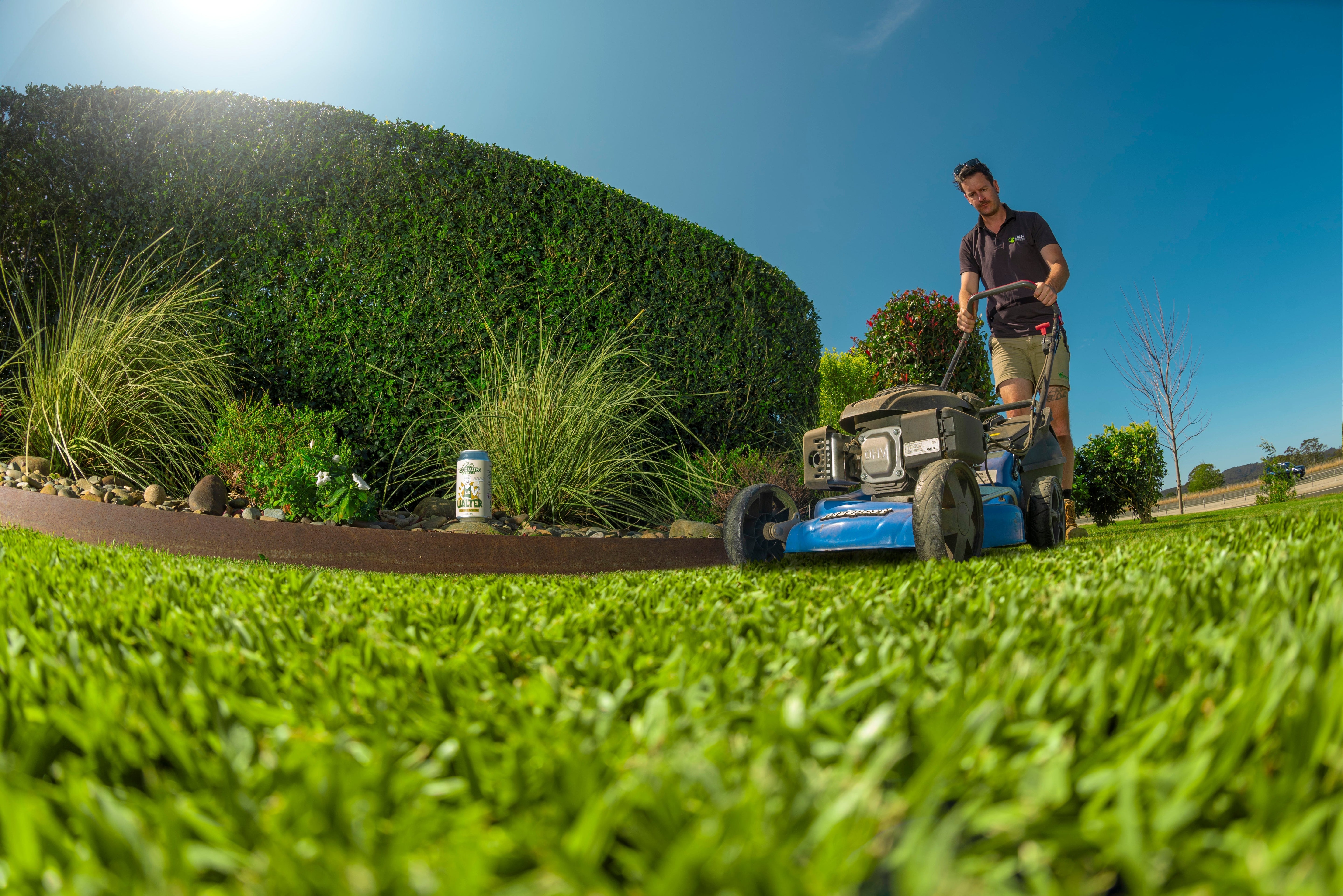 Autumn Lawn Care in Sydney: What You Should Be Doing Right Now