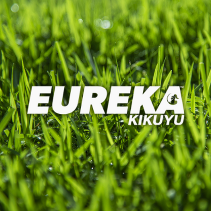 Eureka Kikuyu Grass Lawn Solutions Australia