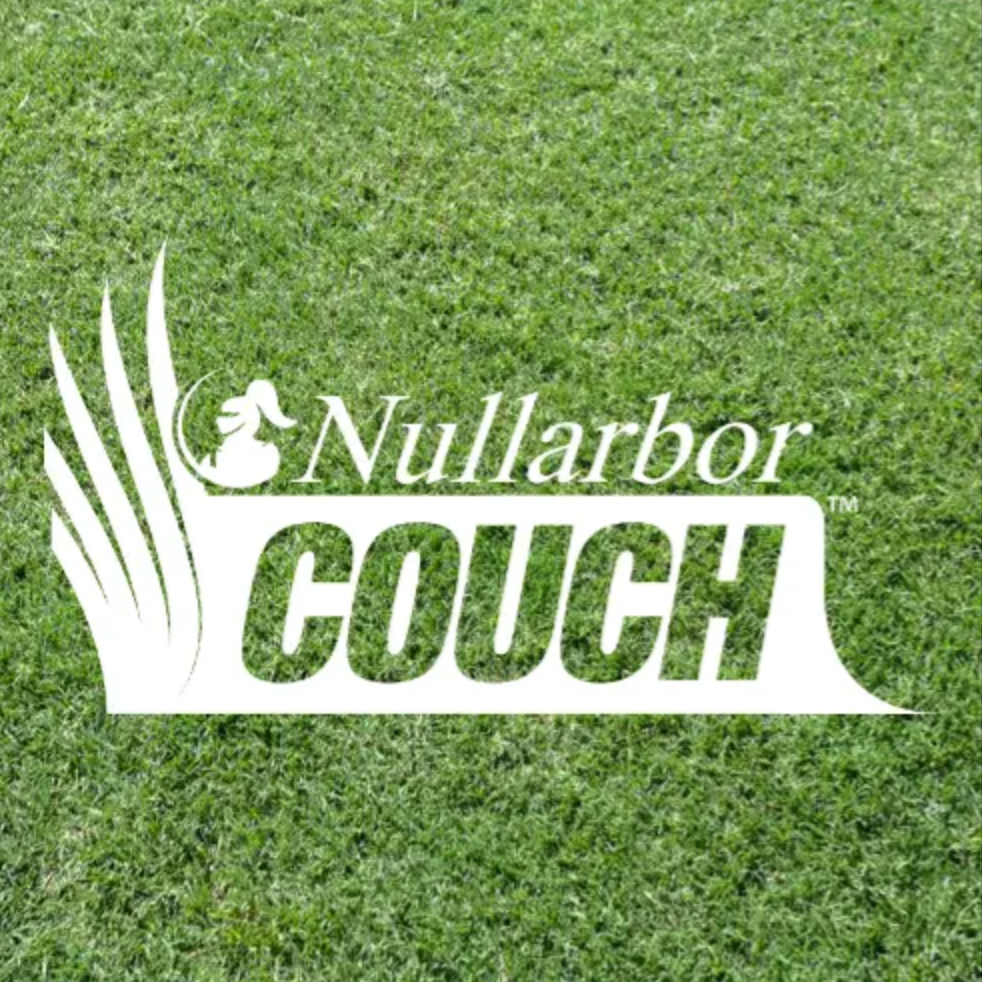 Nullarbor Couch Grass Lawn Care Australia