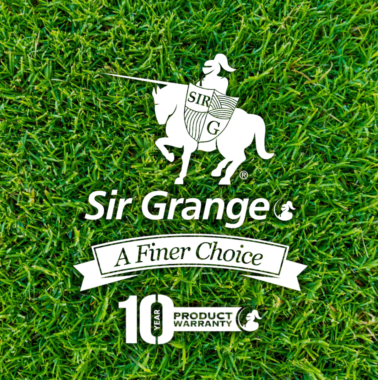 Quality Australia Zoysia Grass - Sir Grange
