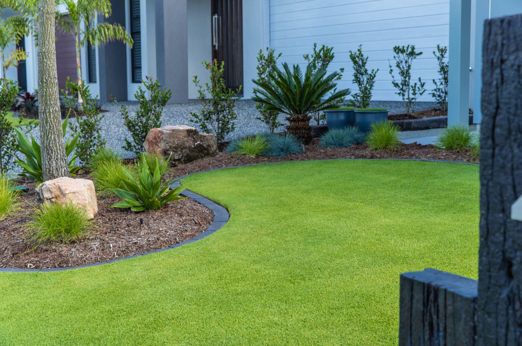 Quality Australia Zoysia Grass - Sir Grange