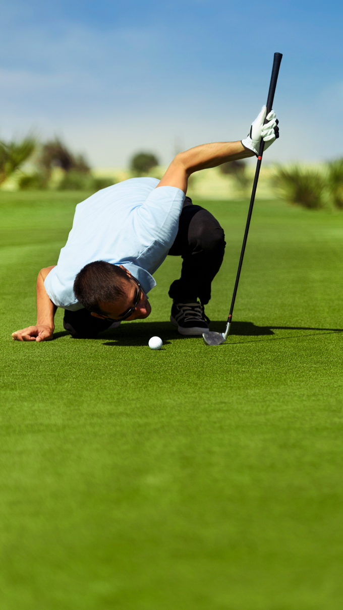 Quality Australia Zoysia Grass - Sir Grange