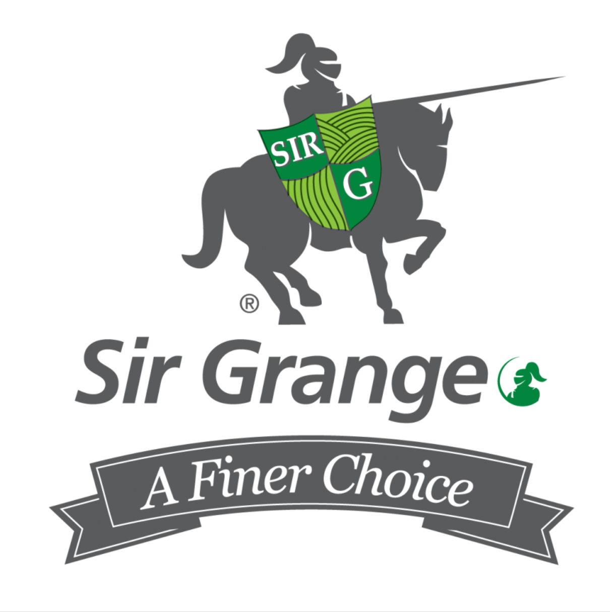 Quality Australia Zoysia Grass - Sir Grange