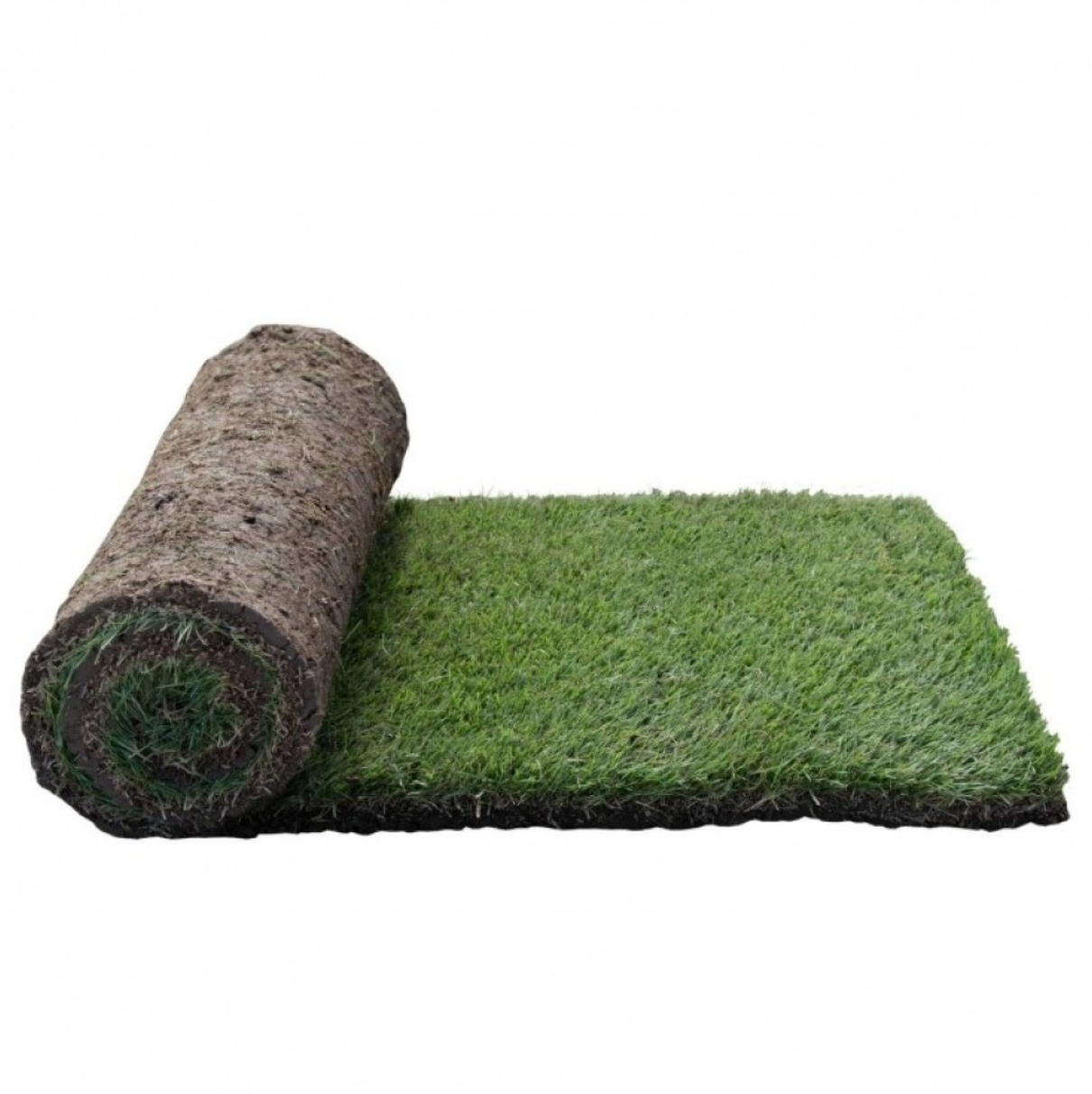 Quality Australia Zoysia Grass - Sir Grange