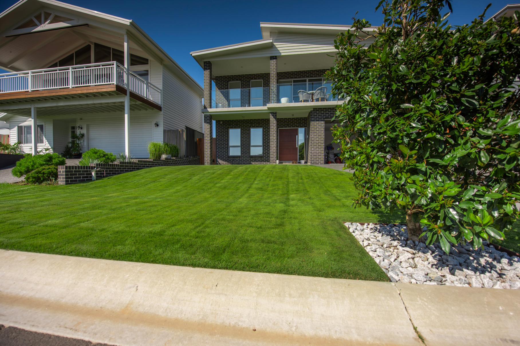 Quality Australia Zoysia Grass - Sir Grange