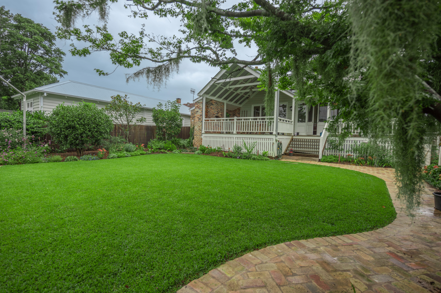 Sir Walter Buffalo Grass Australia