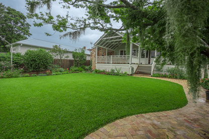 Sir Walter Buffalo Grass Australia