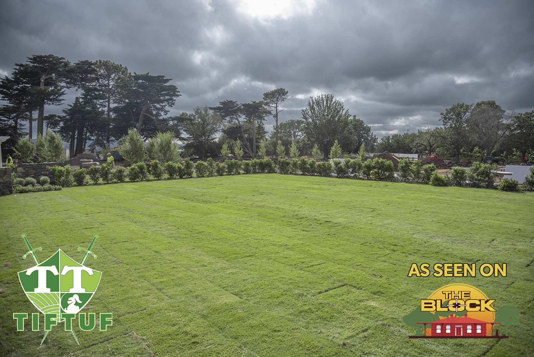TifTuf Bermuda Grass Lawn Care Australia
