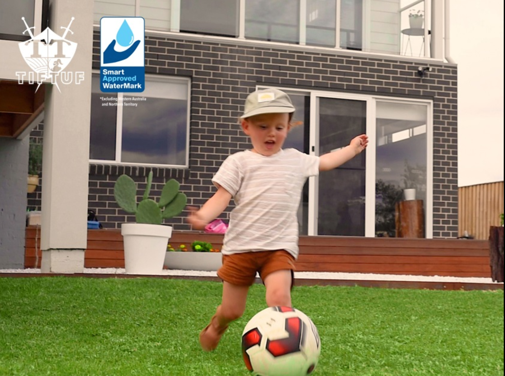 TifTuf Bermuda Grass Lawn Care Australia