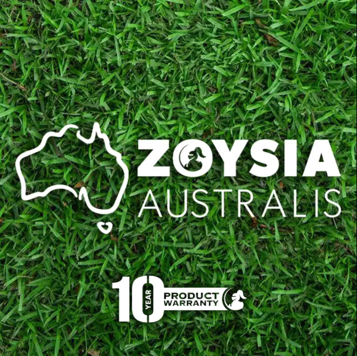 Zoysia Australis Lawn Care Australia