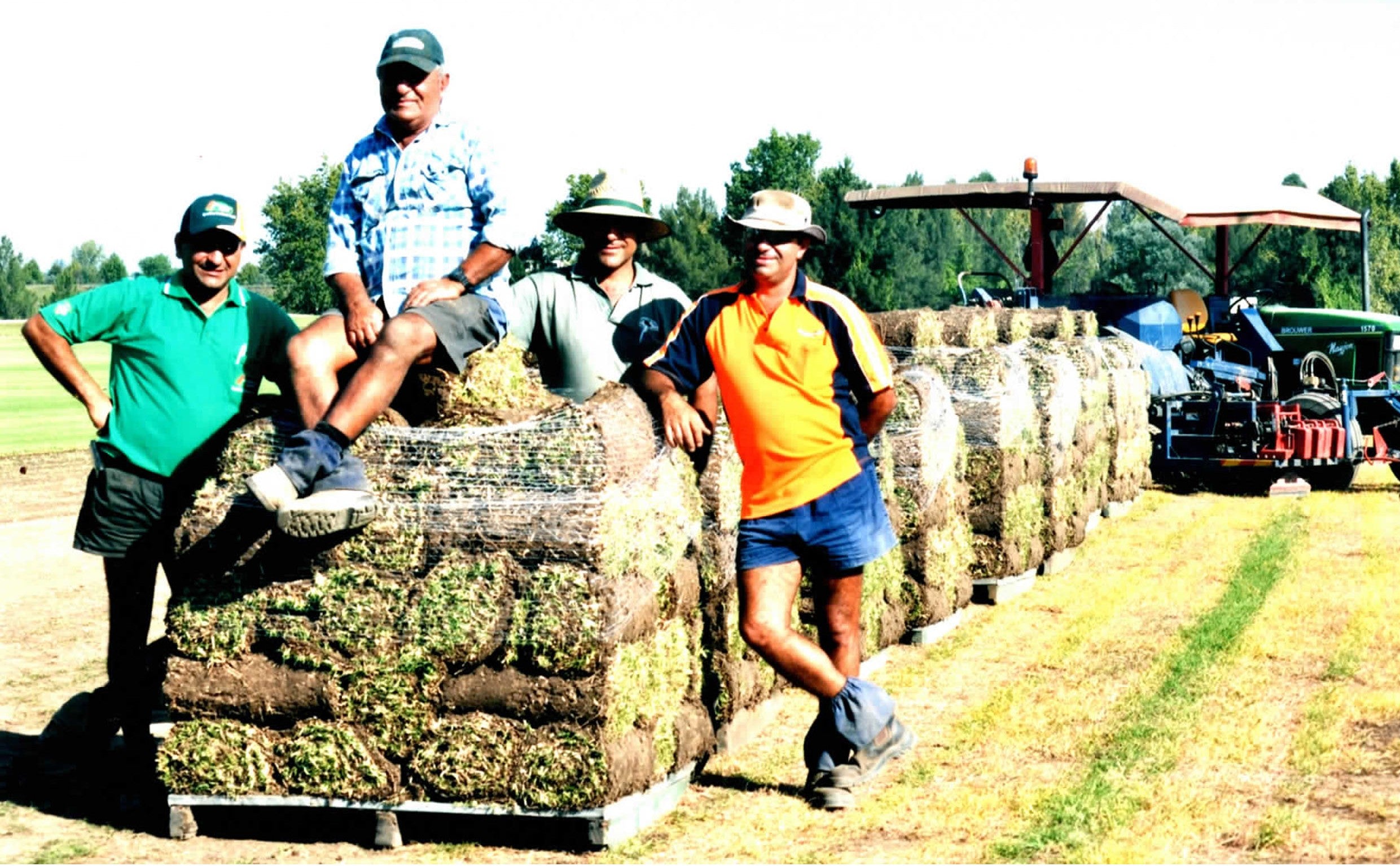 Greenway Turf about us, Decades of experience, Green Line Turf, Sir Waltter Buffalo, Sir Walter DNA Certified, Zoysia Australis, Hawkesbury Lawn Grass, Hawkesbury Turf Farms, Turf Farm in Windsor