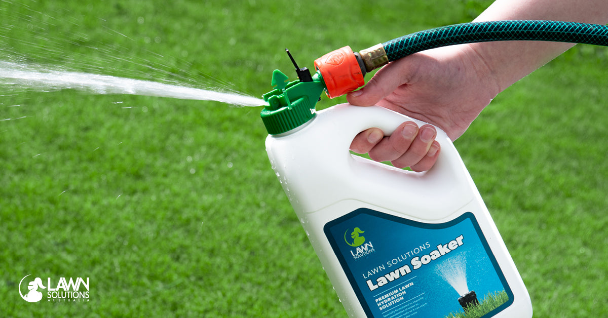Lawn Soaker 2L