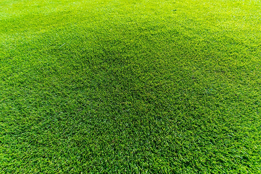 Greenway Turf - Quality Instant Lawn