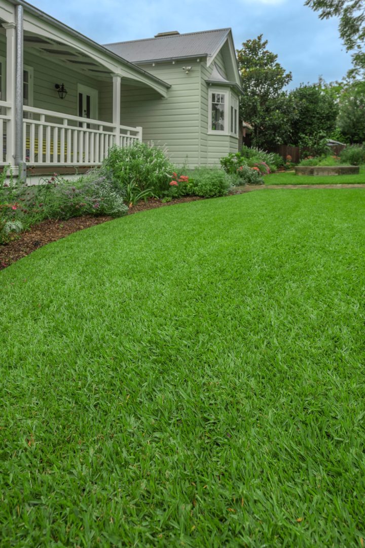When you purchase Sir Walter DNA Certified Buffalo Grass, you’re not just buying a new lawn, you’re buying a whole new way of life.